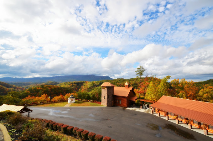 Black Bear Ridge Resort :: Bear Camp Cabin Rentals