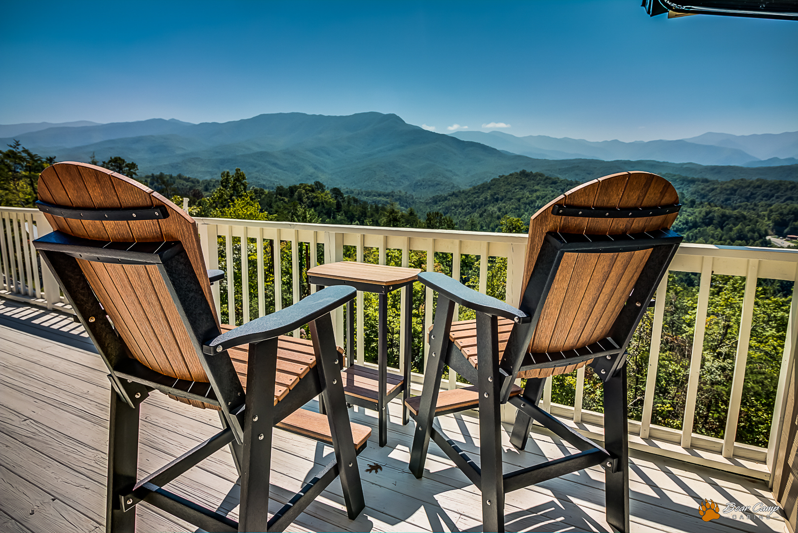 LeConte Mountain View