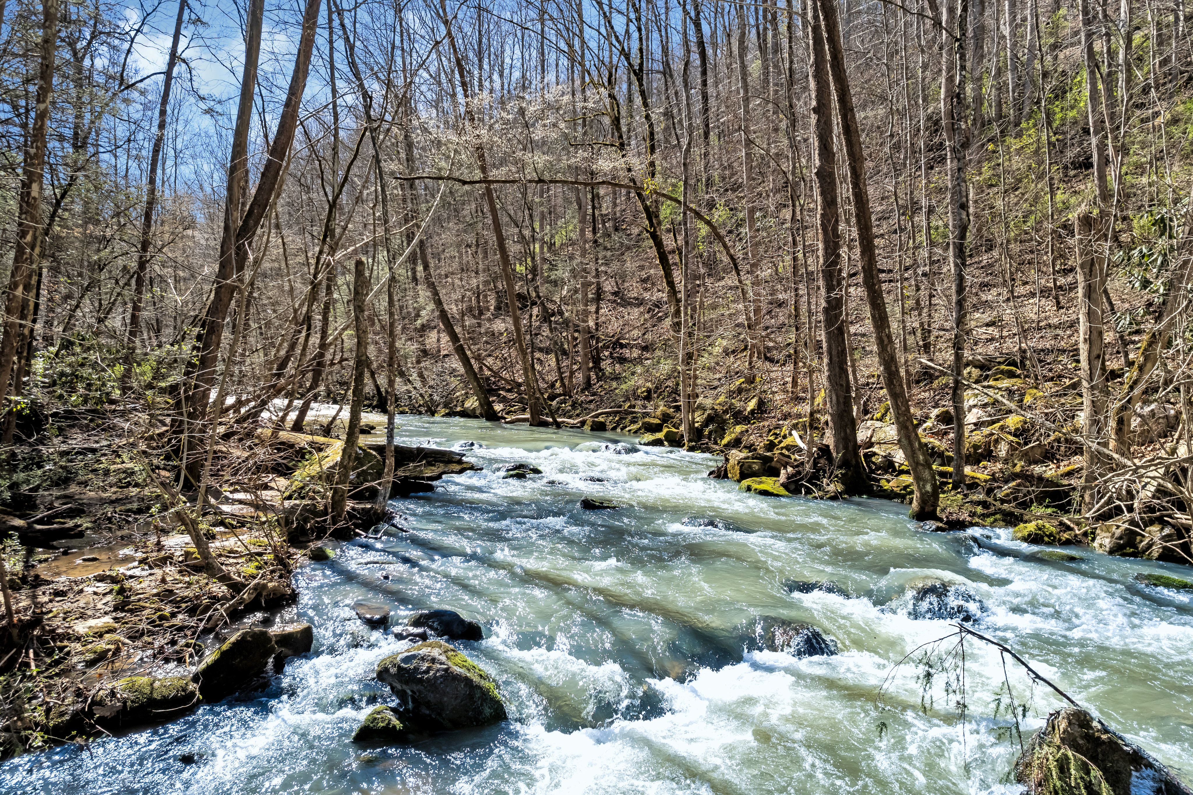 Cove Creek