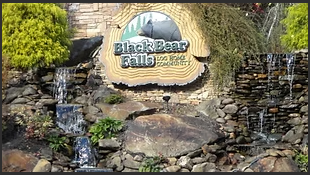 Black Bear Falls Resort